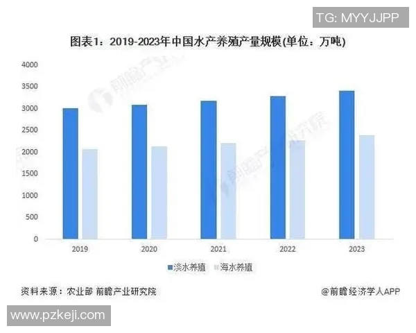 渔具创新与发展趋势分析 探索未来渔业装备的智能化与多功能化发展方向