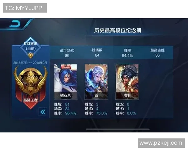 从零起步到巅峰王者荣耀比赛全方位经验分享与攻略秘籍