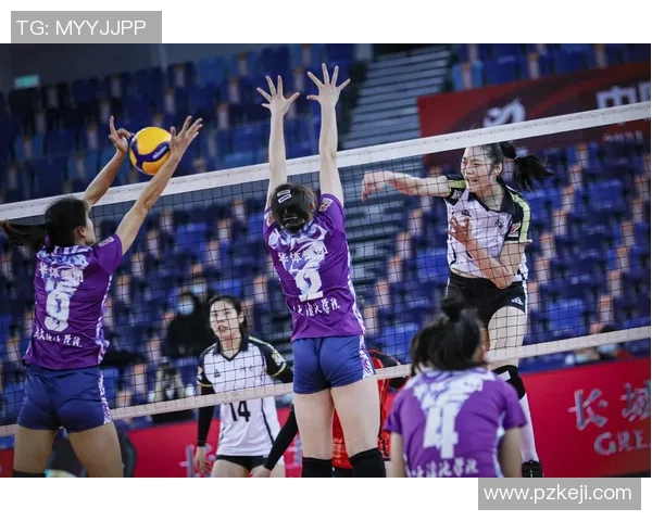 北京排球队状态变革引发热议球迷期待新辉煌