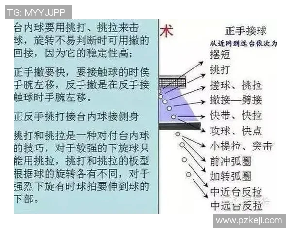 从零基础到高手之路乒乓球技术全方位提升指南
